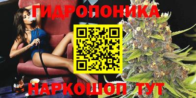 молекула духа Можга