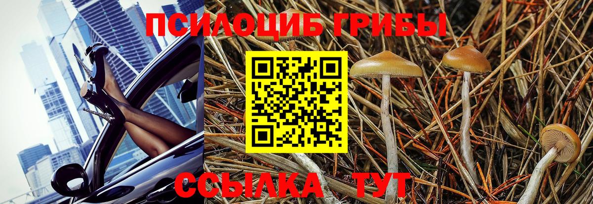 Стрежевой  Галлюциногенные грибы MAGIC MUSHROOMS  Псилоцибиновые грибы прущие грибы  Вход с VPN 