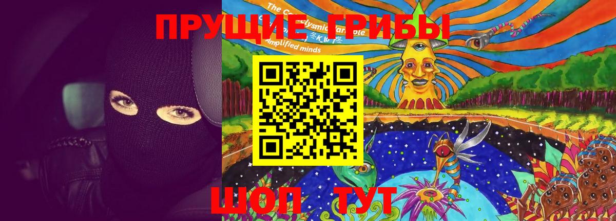 Псилоцибиновые грибы Cubensis Стрежевой